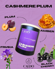 Cashmere Plum