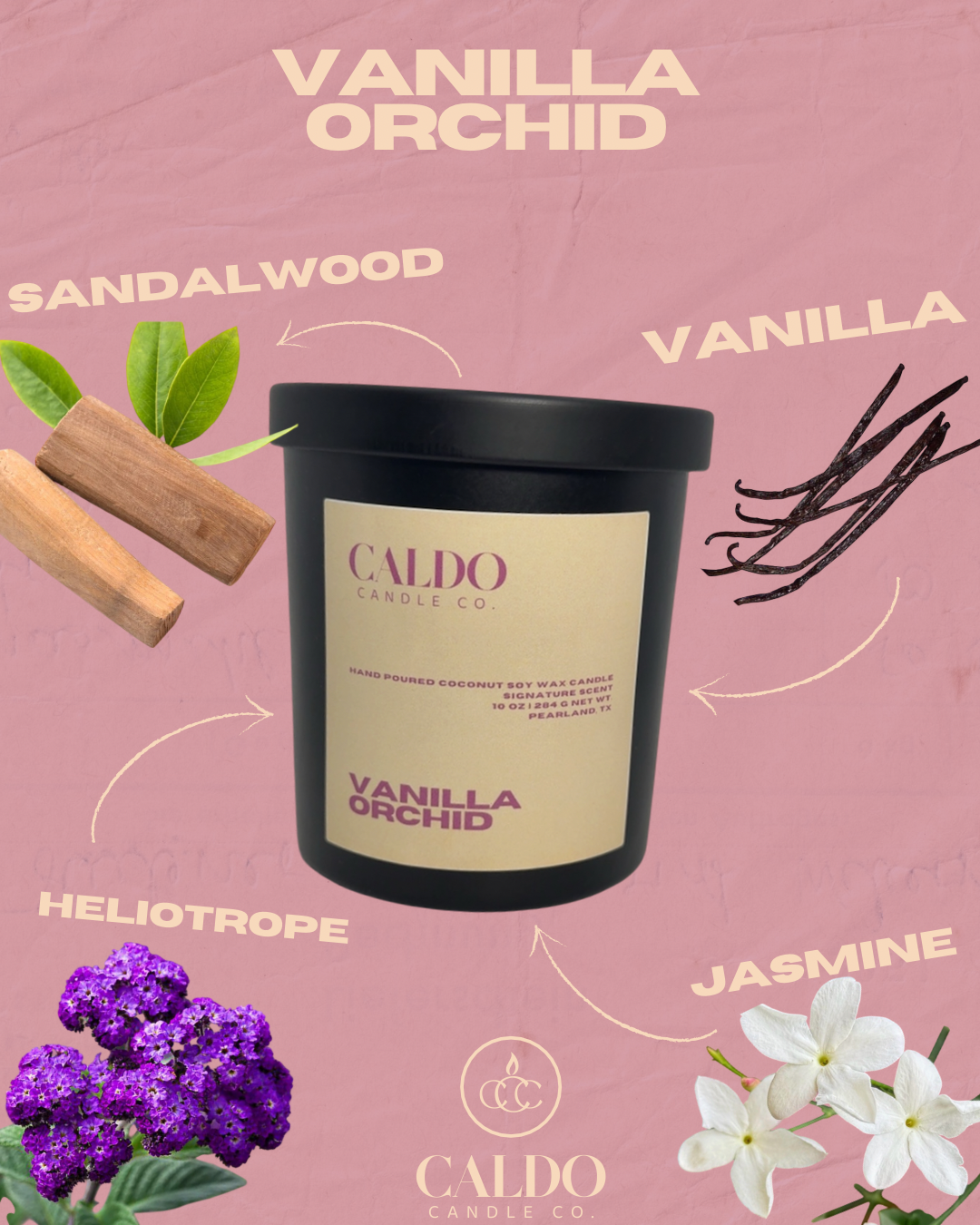 Vanilla Orchid
